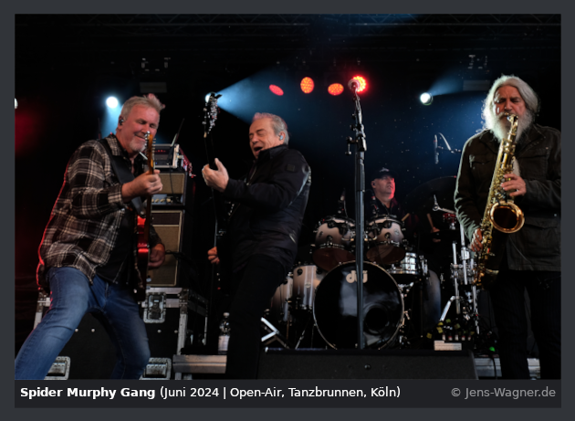 Spider Murphy Gang 0391